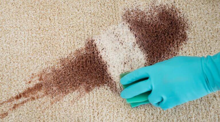 Make These 5 Common Holiday Carpet Stains Disappear
